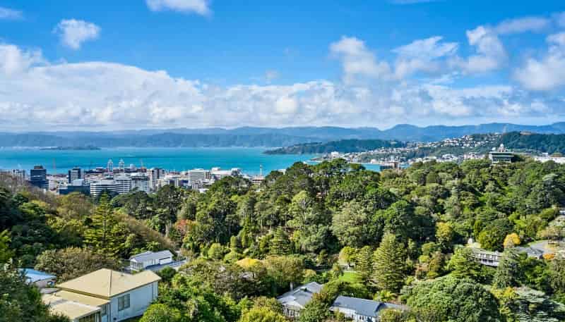 48 Orangi Kaupapa Road, Northland