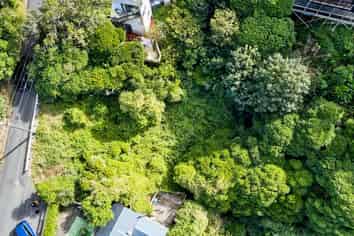 48 Orangi Kaupapa Road, Northland