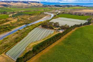 Vineyard lease on the banks of the Awatere River