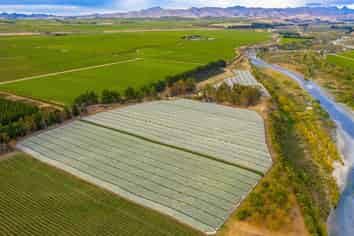 Vineyard lease on the banks of the Awatere River