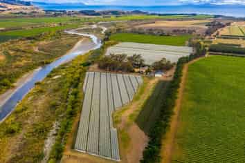 Vineyard lease on the banks of the Awatere River