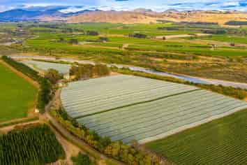 Vineyard lease on the banks of the Awatere River