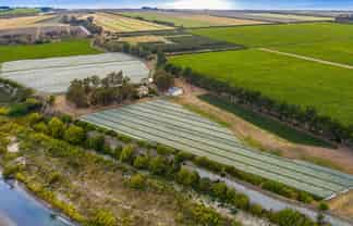 Vineyard lease on the banks of the Awatere River
