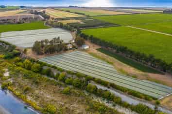 Vineyard lease on the banks of the Awatere River