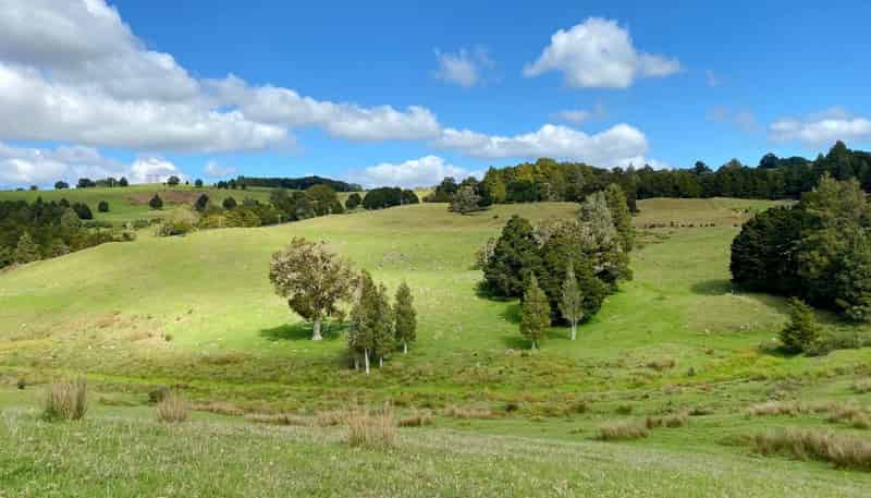 Lot 4/ Waimate North Road, Waimate North, Kerikeri
