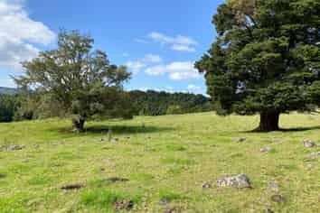 Lot 4/ Waimate North Road, Waimate North, Kerikeri