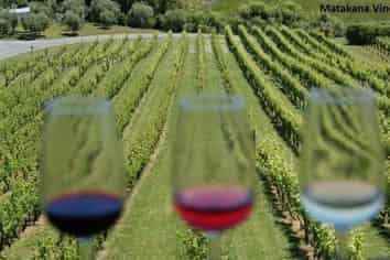  Anne Burton Drive, Warkworth