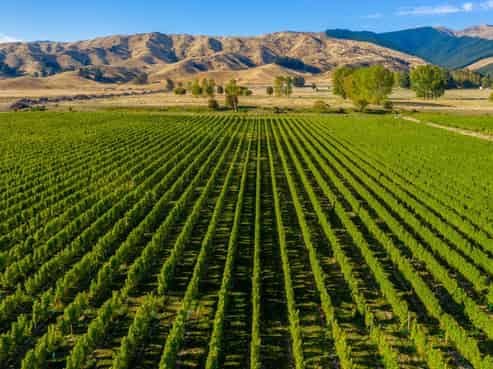 3205 State Highway 63, Wairau Valley