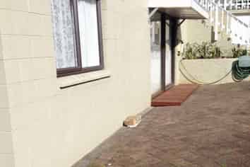 340 Kohimarama Road, Kohimarama