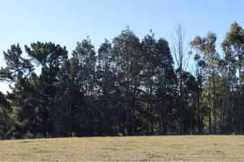 14 Brookfield Heights, Timaru Central