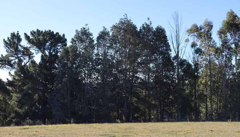 14 Brookfield Heights, Timaru Central