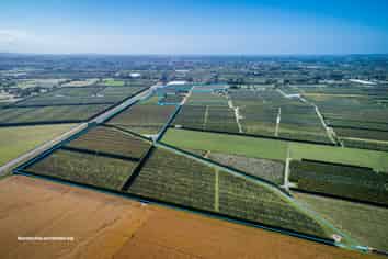 169 Longlands Road East, Longlands