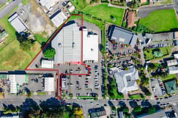 Kiwi Icon Since 1996