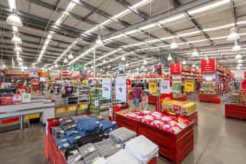 Kiwi Icon Since 1996