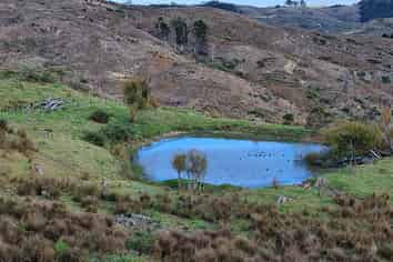 Lot 3/640 Bickerstaffe Road, Maungaturoto