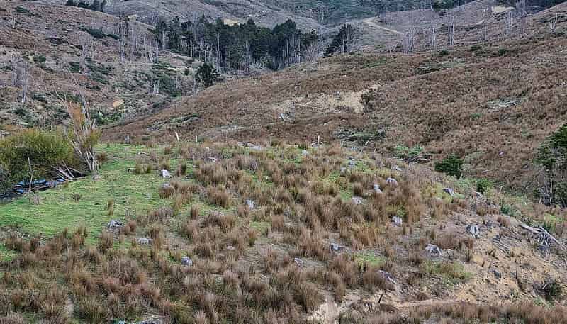 Lot 3/640 Bickerstaffe Road, Maungaturoto