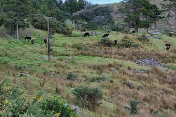 Lot 3/640 Bickerstaffe Road, Maungaturoto