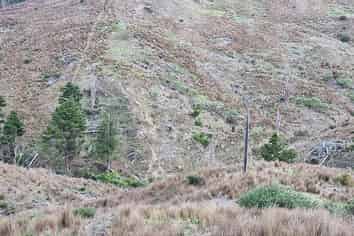 Northland - Address withheld