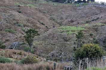 Northland - Address withheld