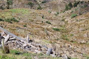 Northland - Address withheld