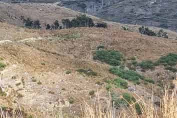 Northland - Address withheld