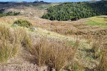 Northland - Address withheld