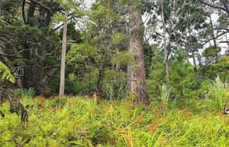  Creamery Rd, Kohukohu