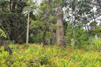  Creamery Rd, Kohukohu