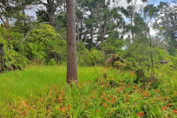  Creamery Rd, Kohukohu