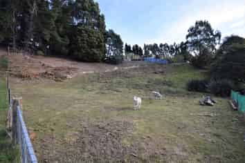 Sections 2/3 Nottingham Street, Hampden