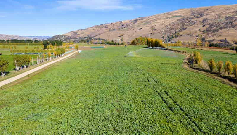  McElligott Road - Lot 1, 