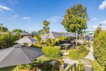 Black Olive - make this your success story