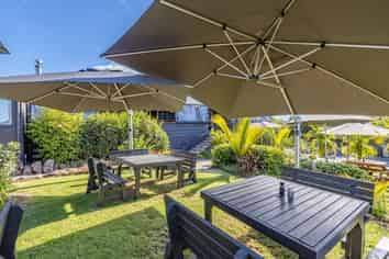 Black Olive - make this your success story