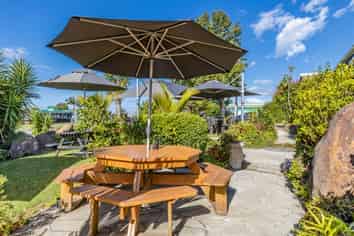 Black Olive - make this your success story