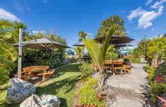 Black Olive - make this your success story