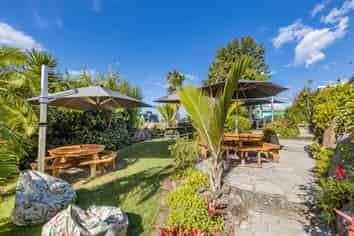 Black Olive - make this your success story