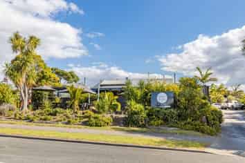 Black Olive - make this your success story