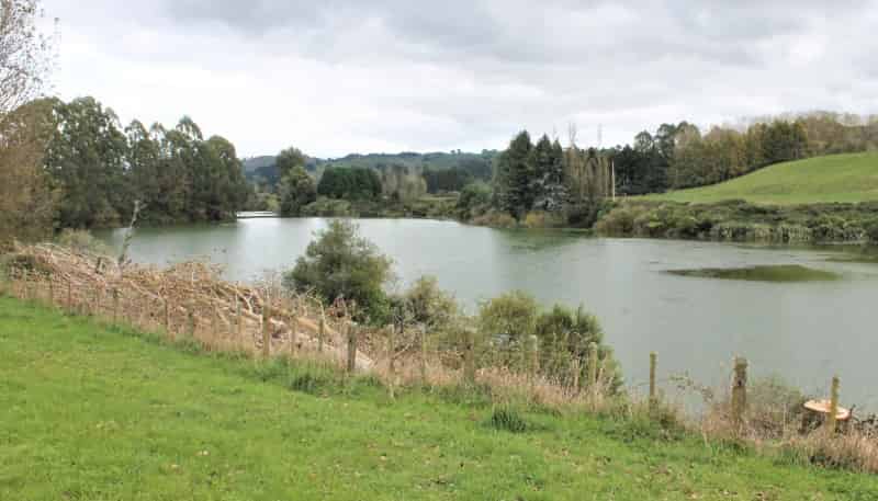 Lot 1 289 Mangatete Road, Ngakuru