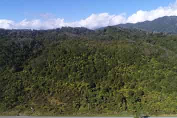 2 3495 State Highway 6, Punakaiki