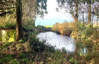 Lot 2 - 75 Curry Road, Woodlands