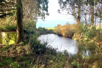 Lot 2 - 75 Curry Road, Woodlands