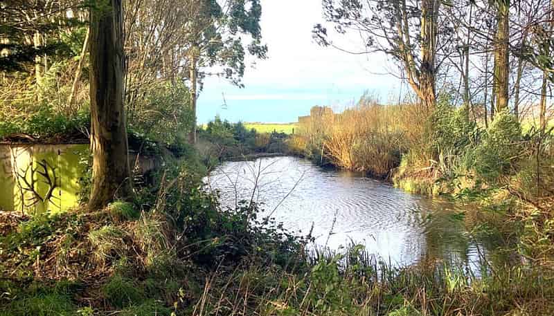 Lot 2 - 75 Curry Road, Woodlands