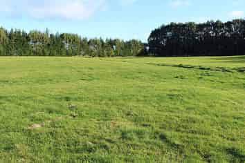 Lot 2 - 75 Curry Road, Woodlands