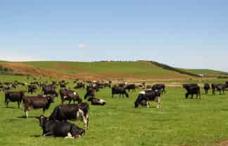 917 Rakahouka-hedgehope Road, Winton Surrounds