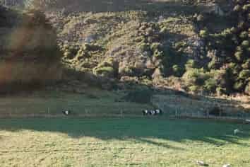 365 Paddys Alley Road, Lumsden Surrounds