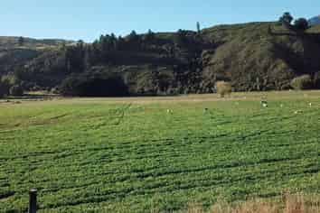 365 Paddys Alley Road, Lumsden Surrounds