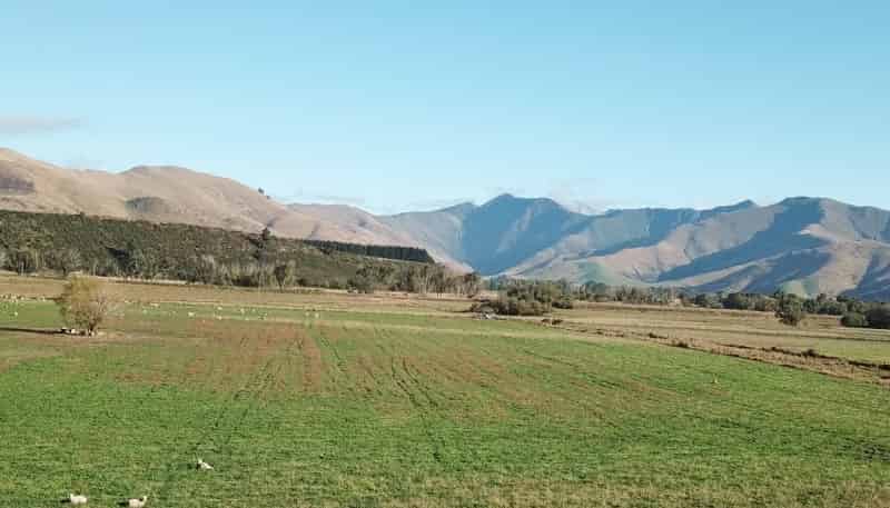 365 Paddys Alley Road, Lumsden Surrounds