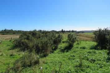 1/99 Powerhouse Road, Westport Surrounds