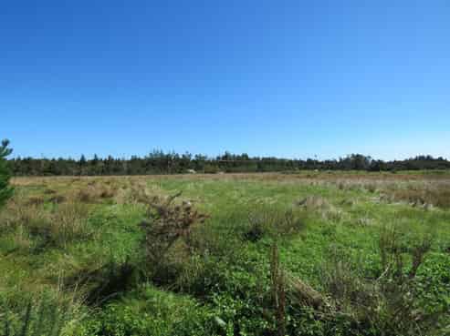 1/99 Powerhouse Road, Denniston