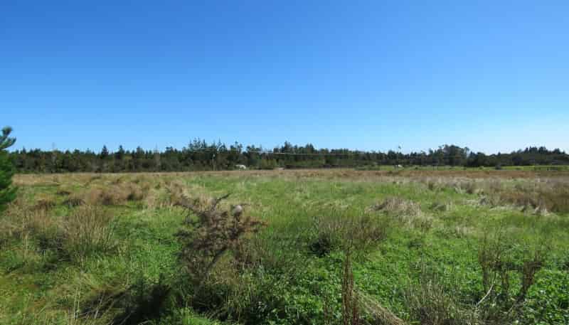 1/99 Powerhouse Road, Westport Surrounds